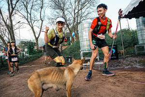 BIB: 
                            <button type="button" onclick="openModal(25457884)" class="btn btn-primary btn-sm float-right btn-popup" data-toggle="modal" data-target=".modal-high-quality">
                        <i class="fas fa-shopping-cart"></i> Add to Cart
                    </button>
                                            <button type="button" onclick="isThisMe(25457884, true)" class="btn btn-success btn-sm float-right btn-popup btn-isme hidden" data-toggle="tooltip" data-placement="bottom" title="นี่คือรูปของคุณใช่ไหม คลิกที่นี่เพื่อเอาเข้าอัลบั้ม">
                        <i class="fas fa-plus"></i> Add to album
                    </button>
                    <button type="button" onclick="isThisMe(25457884, false)" class="btn btn-warning btn-sm float-right btn-popup btn-isnotme hidden">
                        <i class="fas fa-ban"></i> Remove from album
                    </button>